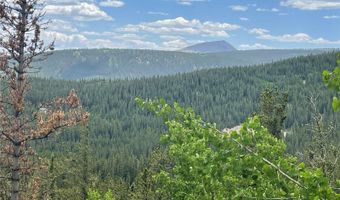 847 County Road 787, Alma, CO 80420