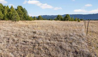 10201 Packsaddle Rd, Cascade, ID 83611