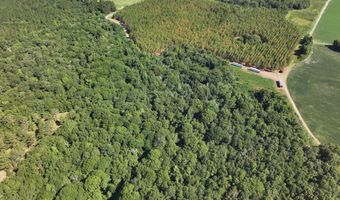 Highway 112, Abbeville, GA 31001