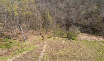E Captina Highway Road, Alledonia, OH 43902