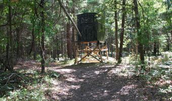 2782 River Rdg, Alger, MI 48610