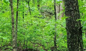 34587 County Road 246, Ava, MO 65608