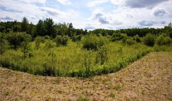 VL 104th Avenue, Allegan, MI 49010