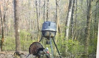 8008 Patricks Landing Rd, Bay Minette, AL 36507