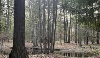 2056 Hobbs Dr, Alpena, MI 49707
