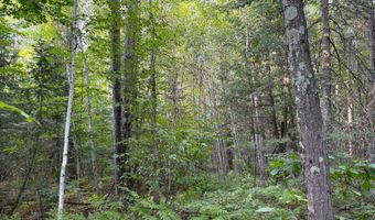 County Road Y, Aniwa, WI 54408
