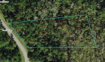 129 Water Oaks Way, Apalachicola, FL 32320