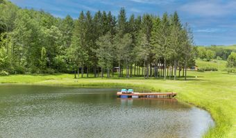 2607 Lower Dingle Hill Rd, Andes, NY 13731