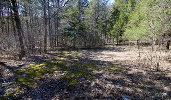 000 Eagles Nest Landing Ln, Bath Springs, TN 38311