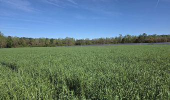 N Nc 111 And 903 Hwy, Albertson, NC 28508