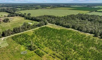 00 50th Ave, Bell, FL 32619