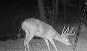 18999 River Rd, Athens, OH 45701