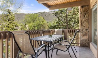 605 E Main St #9, Aspen, CO 81611