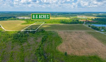 TRACT 9 Sellers Road NW, Baxley, GA 31513