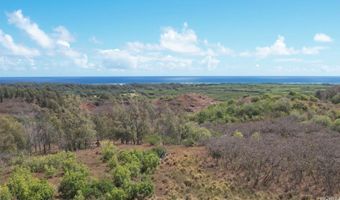 56-1060 Kamehameha Hwy, Kahuku, HI 96731