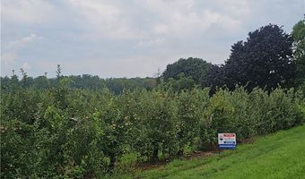 3120 Densmore Rd, Albion, NY 14411