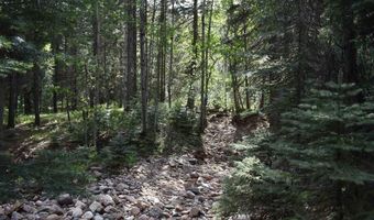 Vallecito Pl, Bayfield, CO 81122