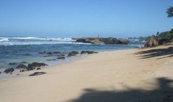 61-313 Kamehameha Hwy U, Haleiwa, HI 96712