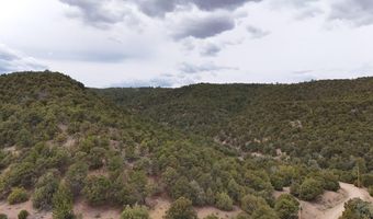 County Rd. 312.1 lot 127, Aguilar, CO 81020