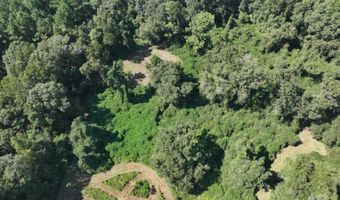 4496 State Hwy 130, Banks, AL 36005