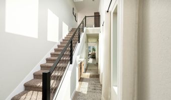 14515 Prairie Clover Plan: Wisteria, San Antonio, TX 78253