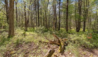 17-1 Bald Head Rd, Arrowsic, ME 04548