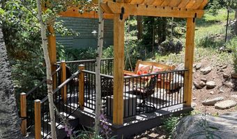 124 Ski Rd, Allenspark, CO 80510