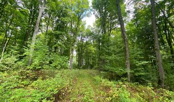 NEAR SCHMIDT LN, Argonne, WI 54511