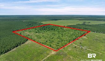 Green Town Road, Bay Minette, AL 36507