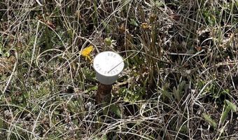 Forest Road 26 lot E, Alpine, AZ 85920