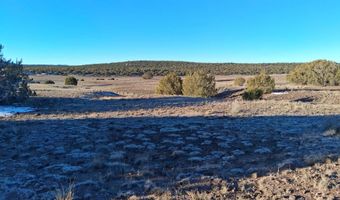 286 County Rd, Concho, AZ 85924