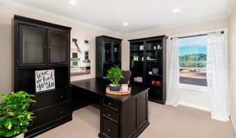 3101 Levante St, Carlsbad, CA 92009