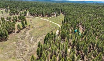 841 Beaver Creek Dr, Bayfield, CO 81122