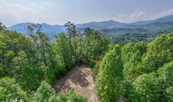 1200 Tobacco Branch Rd, Almond, NC 28702