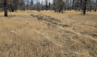 Parazoo Trail Lot 15, Bly, OR 97622