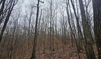 13 Toney Drive, Altoona, AL 35952