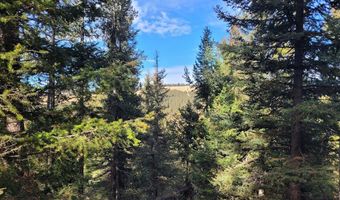 Tbd Smokey Mountain Drive, Anaconda, MT 59711