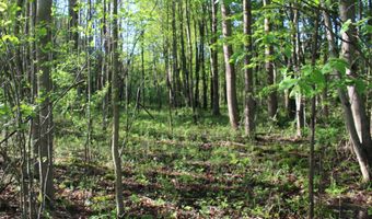 104 Th Ave, Allegan, MI 49010