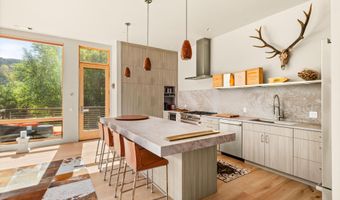 103 Willits Way 201, Basalt, CO 81621
