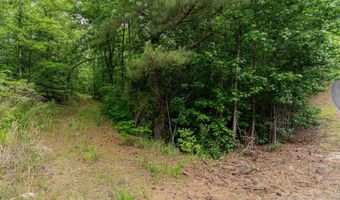 2317 WALDROP ROAD Lot 4 And 5, Ashville, AL 35953