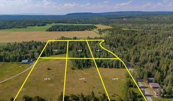 Potpourri Drive lot 11, Ashton, ID 83420