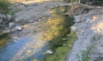 Carp Road, Caliente, NV 89008