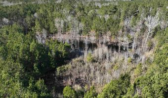 00 Hadwin Rd, Bamberg, SC 29003