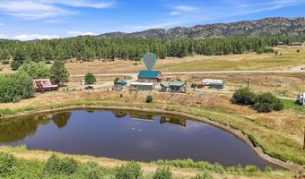 48246 Highway 160, Bayfield, CO 81122