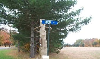 8842 CHICKADEE LOT 12, Alanson, MI 49706