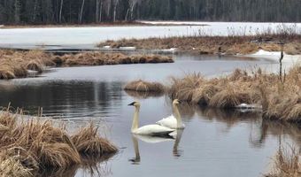 3420 Dewees Rd, Babbitt, MN 55706