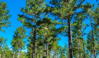 6355 Cobbham Rd, Appling, GA 30802