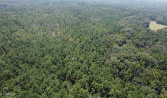 1 Champion Hill Rd, Bolton, MS 39041