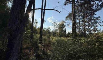 1 46 Acres 2nd Ave, Altoona, AL 35952