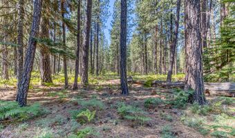 13461 Hawks Beard SH43, Black Butte Ranch, OR 97759